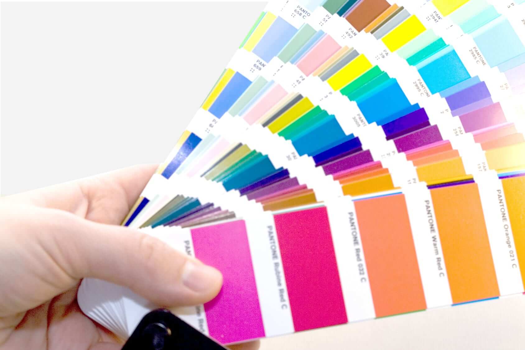 Woman holding Pantone swatch book